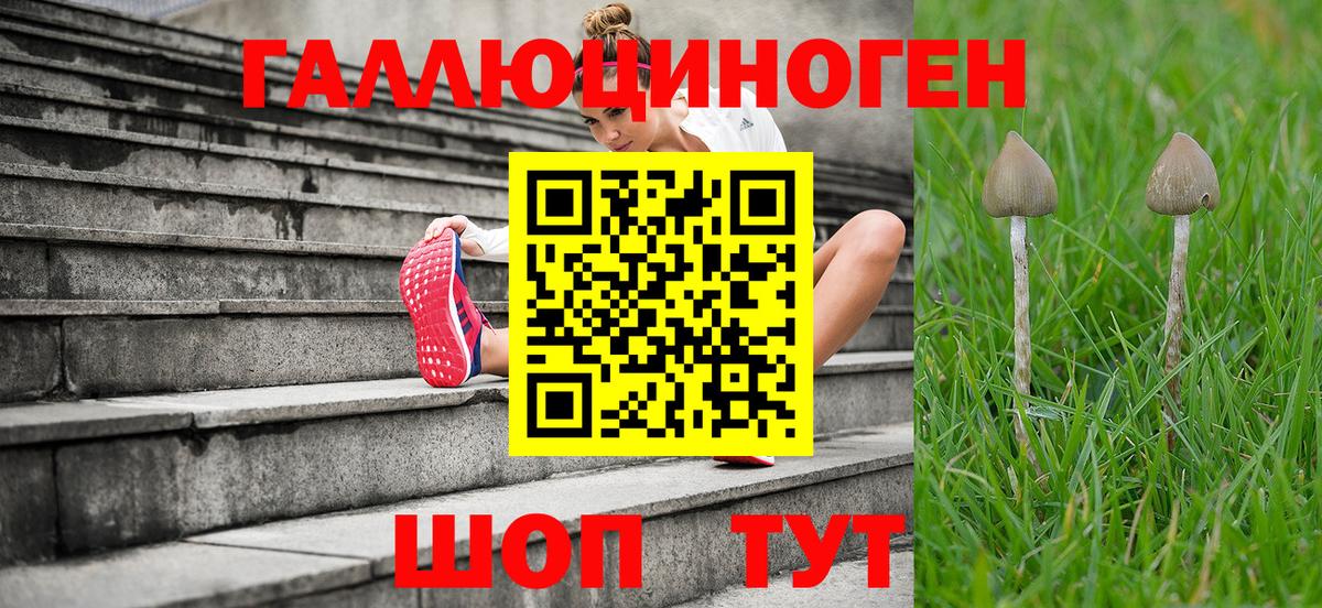 Псилоцибиновые грибы мицелий  Псилоцибиновые грибы мухоморы  Находка  Вход с VPN 