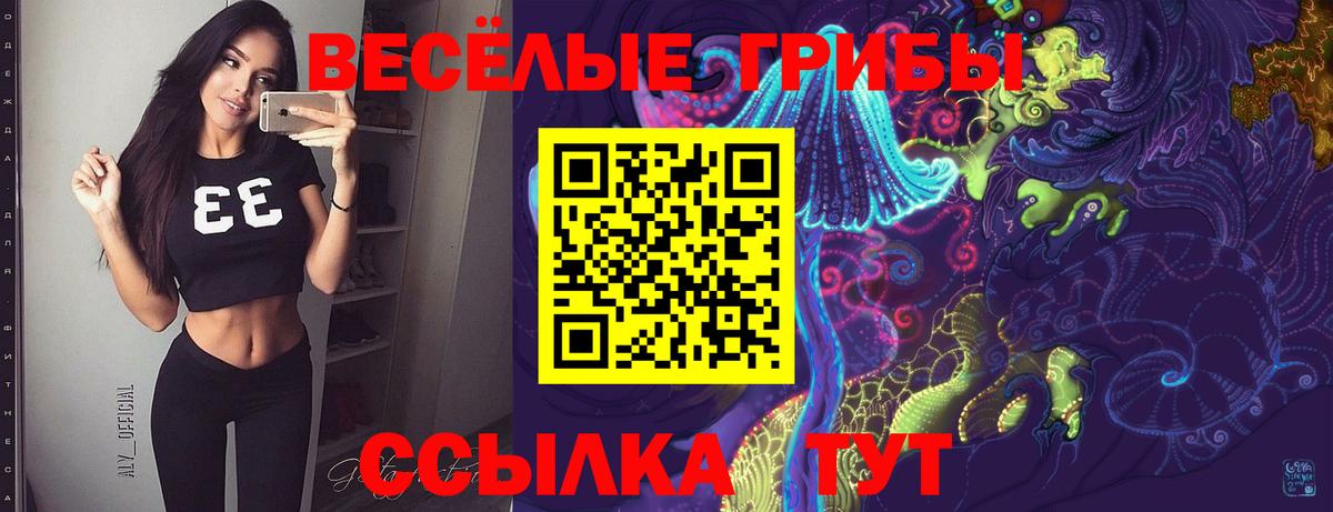 Псилоцибиновые грибы MAGIC MUSHROOMS Находка